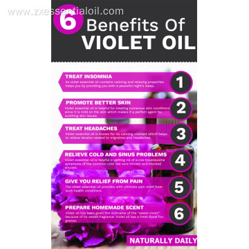 HIgh quality 100% pure violet essential oil bulk